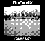 Game Boy Camera Foto