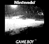Game Boy Camera Foto
